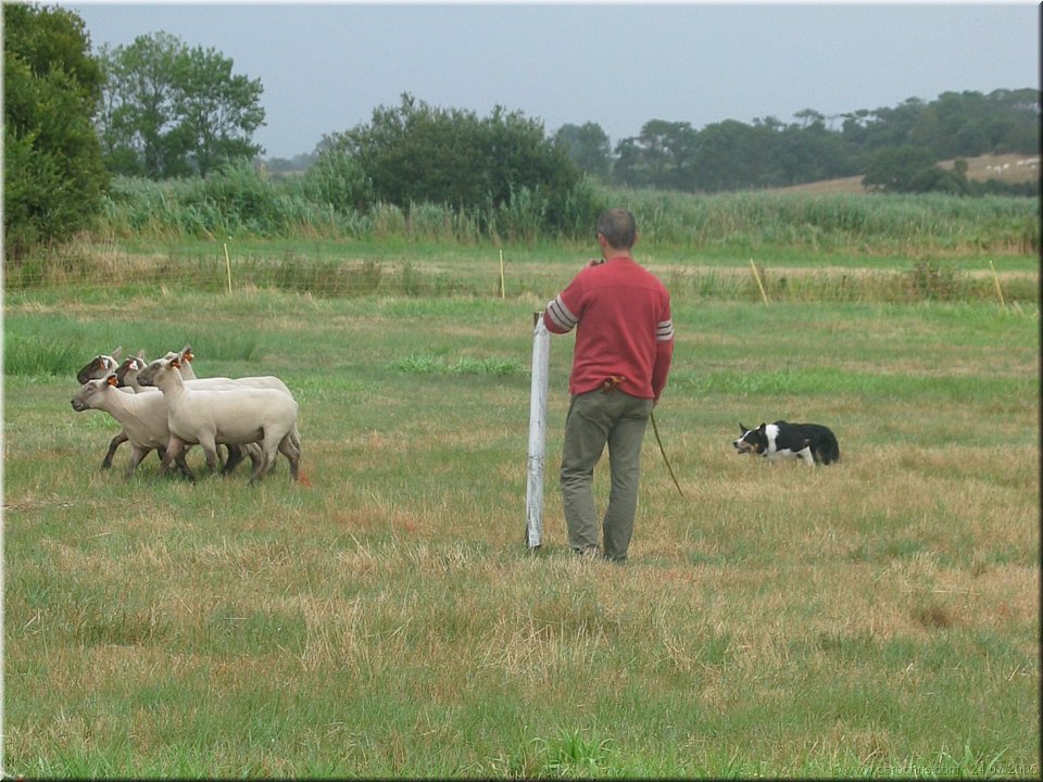fete du mouton.jpg
