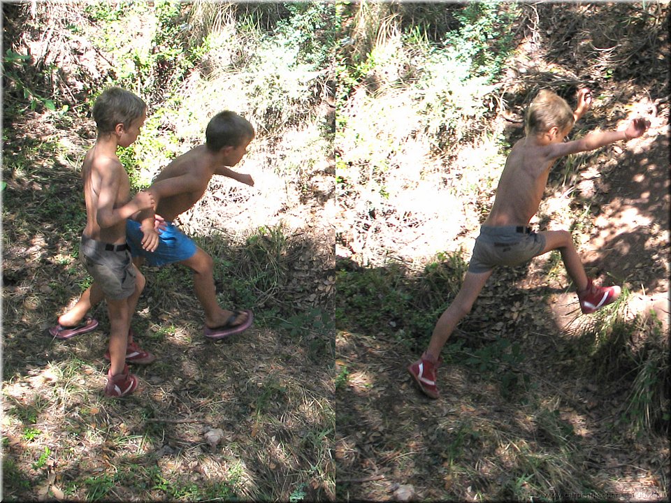 la jungle en folie.jpg