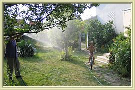 arrosage toutes plantes