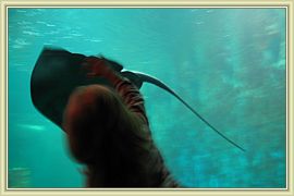 caresse aquatique