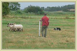 fete du mouton