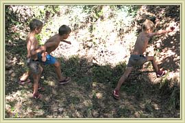 la jungle en folie
