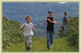 les deux comperes