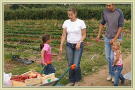 operation brouette pleine