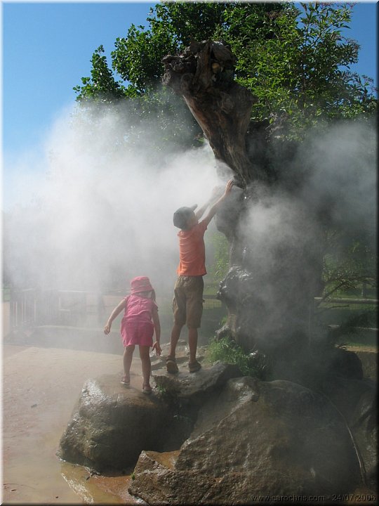 arbre vapeur.jpg