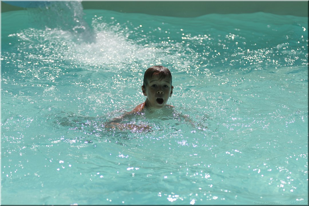il adore la piscine.jpg