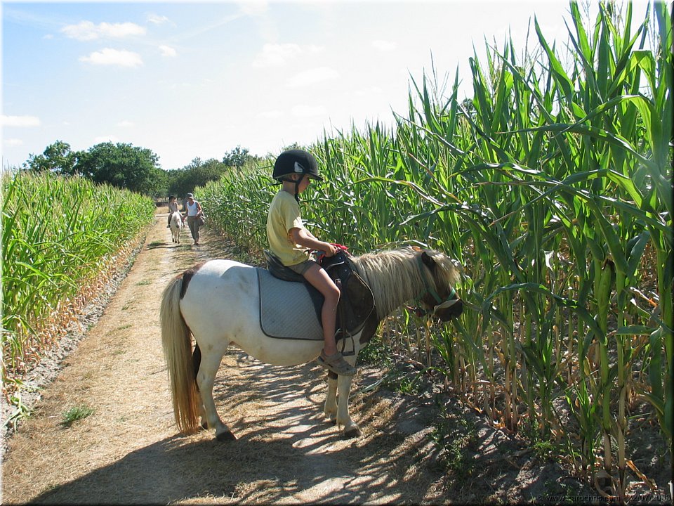 tour de poney.jpg