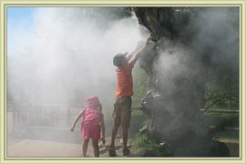 arbre vapeur
