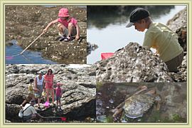 peche aux crabes