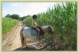 tour de poney