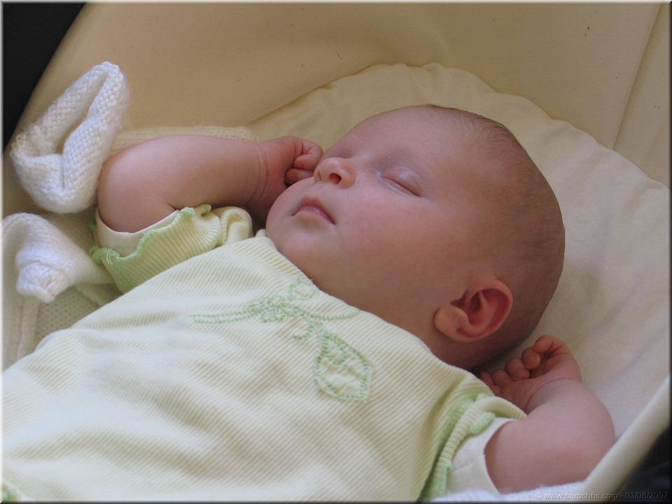 amelie.jpg