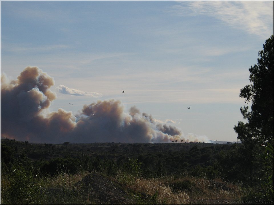 canadairs en action.jpg