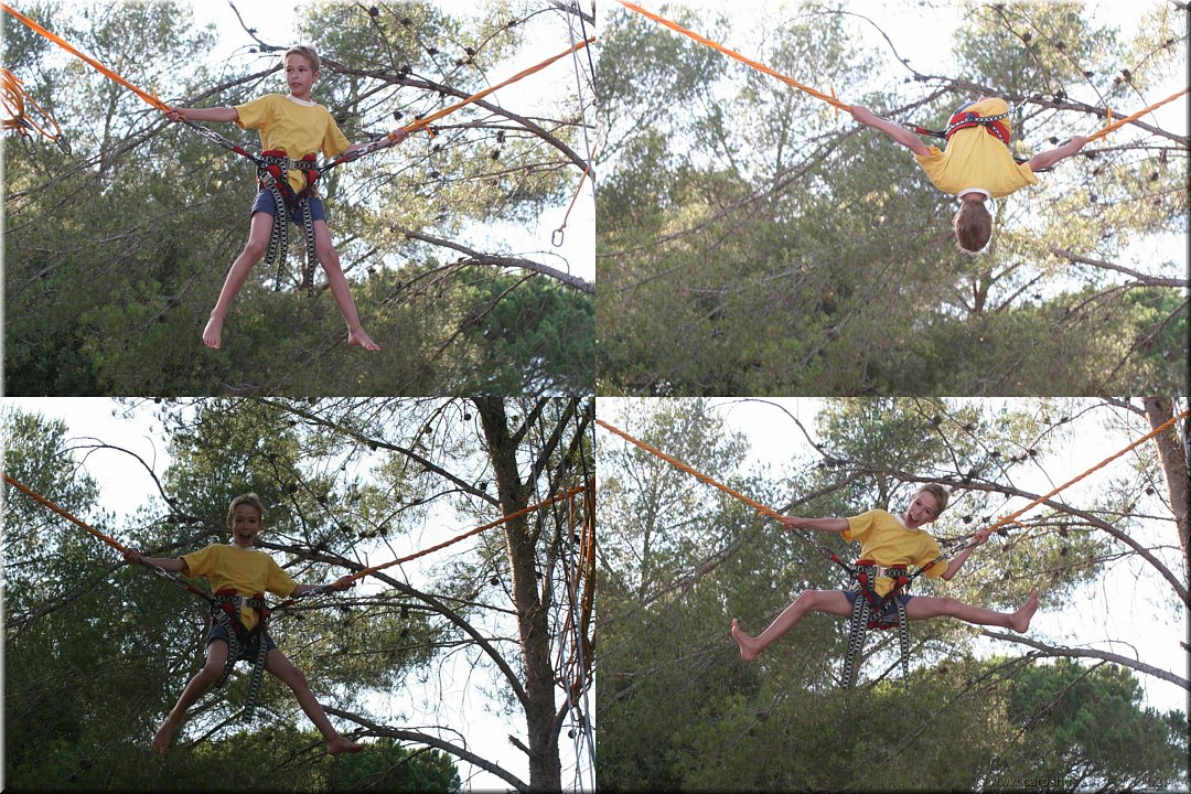 fly jump.jpg