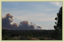 canadairs en action
