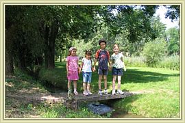 fine equipe