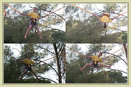fly jump