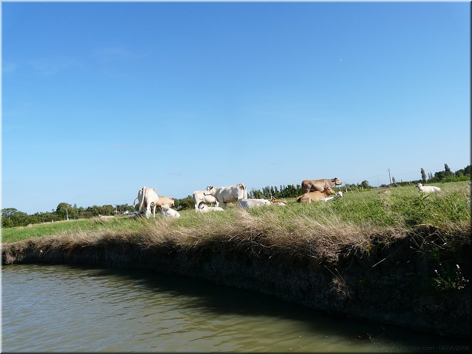 bords du marais.jpg