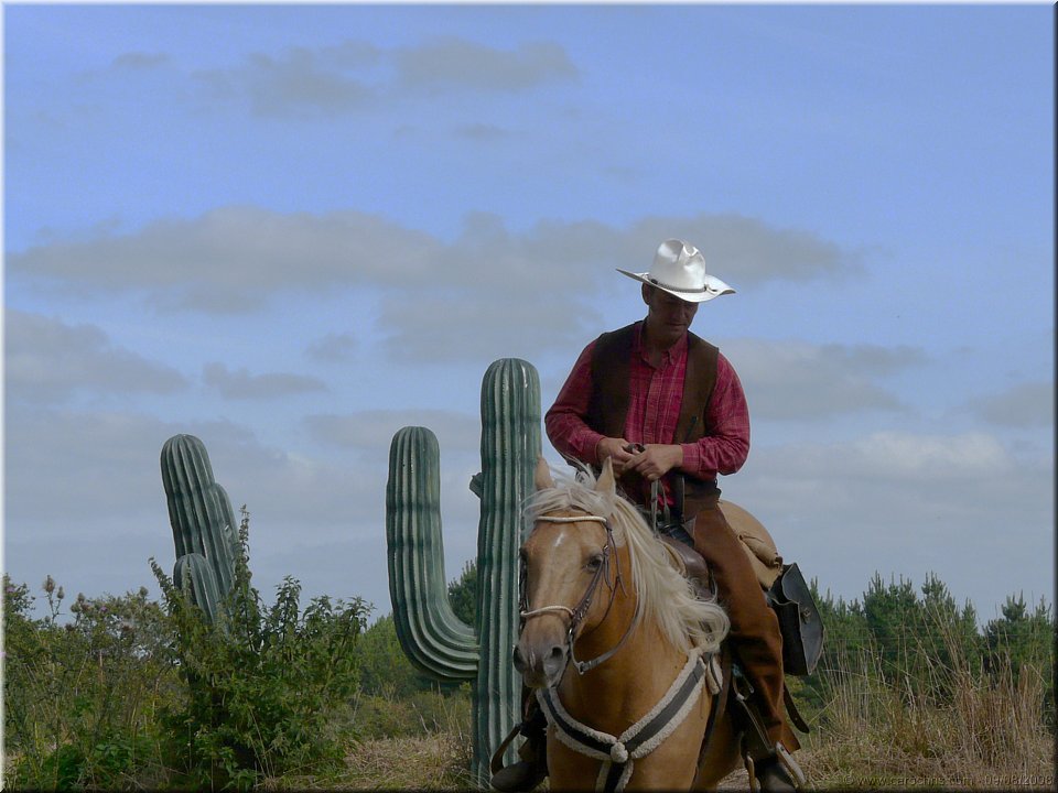 decor cactus.jpg