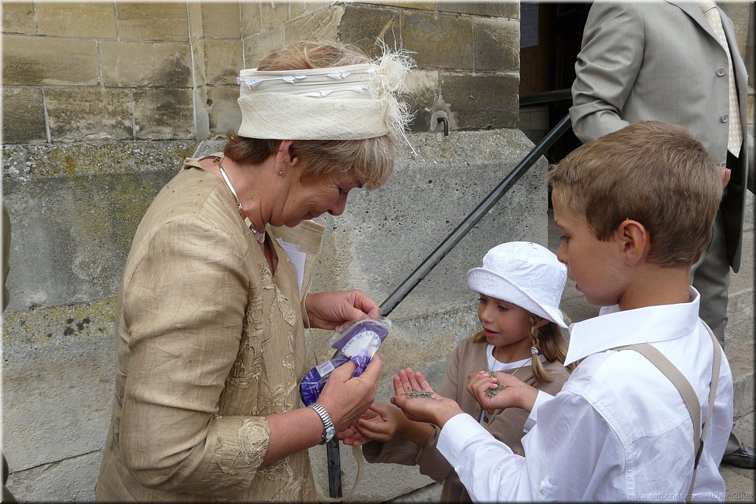 distribution de lavande.jpg