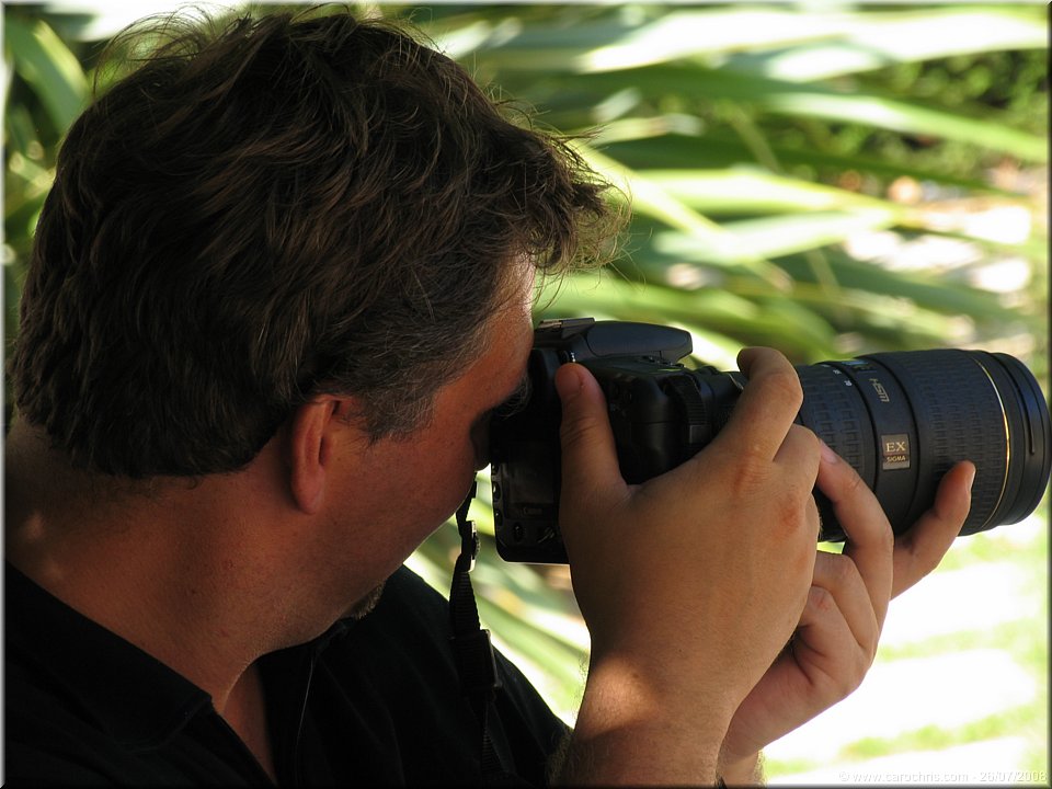 paparazzi.jpg