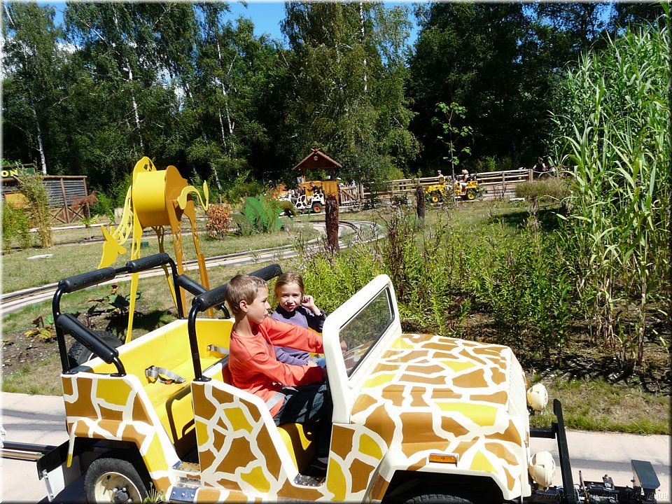 safari tranquille.jpg