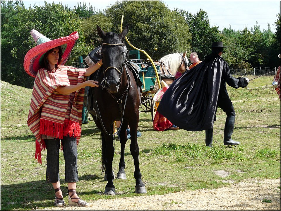 tornado le cheval de zorro.jpg