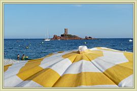 Ile de Tintin