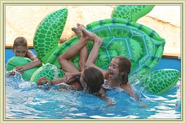 chute de tortue