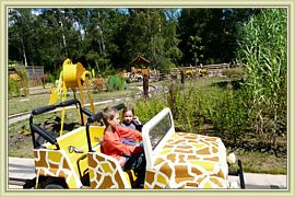 safari tranquille