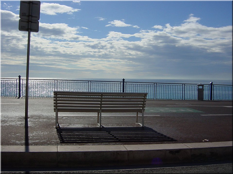 en attendant le printemps.jpg