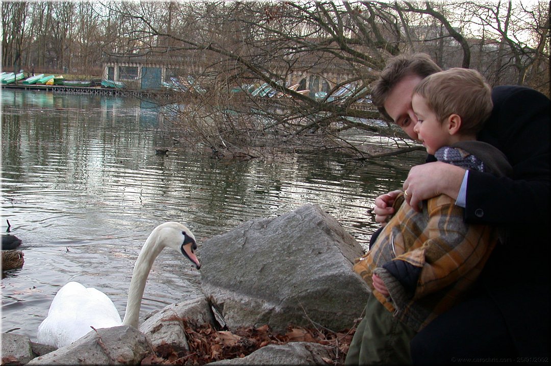 le lac du cygne.jpg
