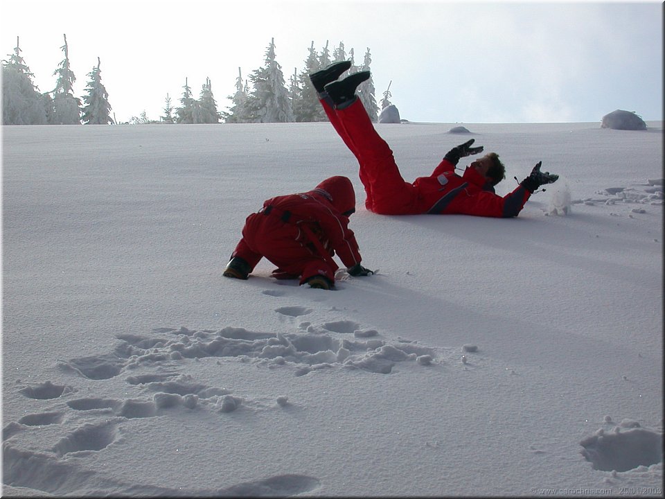 flip flap salto avant arriere.jpg