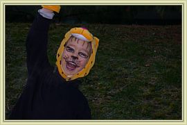 attaque de tigrou