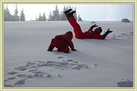 flip flap salto avant arriere