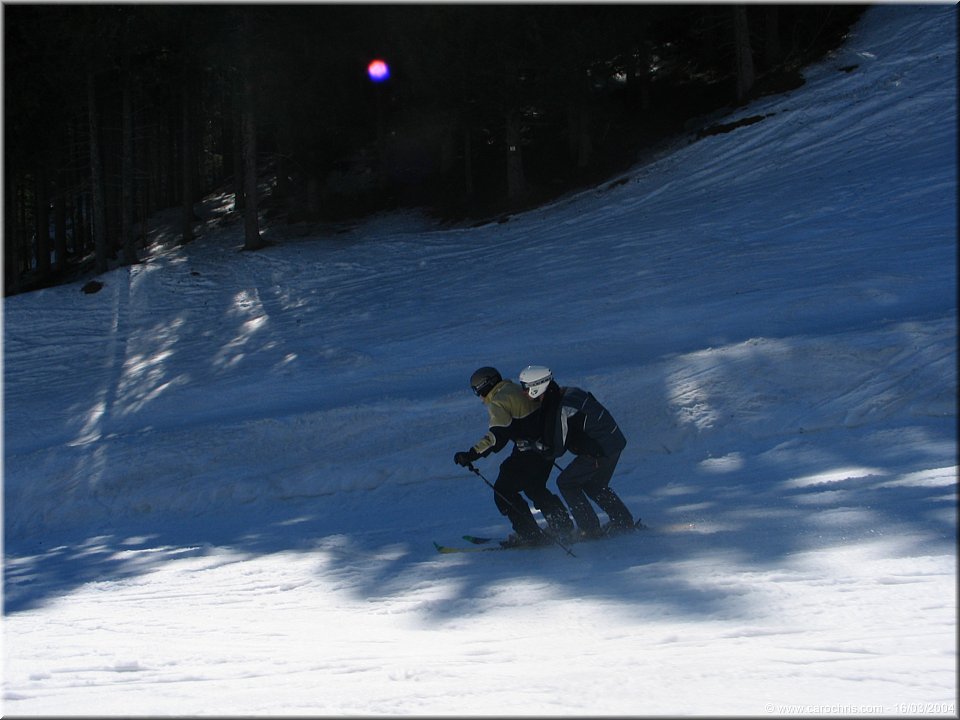 ski-tandem.jpg