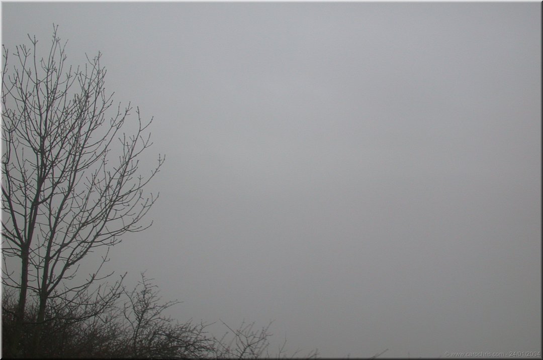 vue extraordinaire.jpg