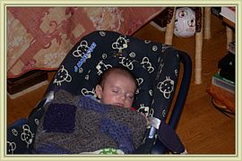noah
