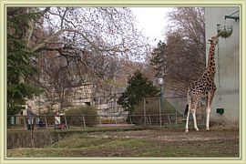 observation discrete
