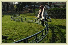 rodeo