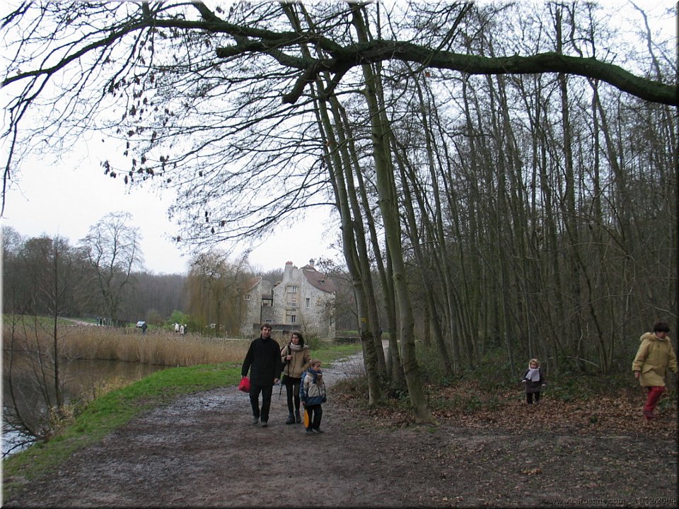 balade en foret.jpg