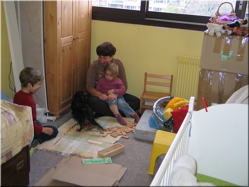 dog dominos.jpg