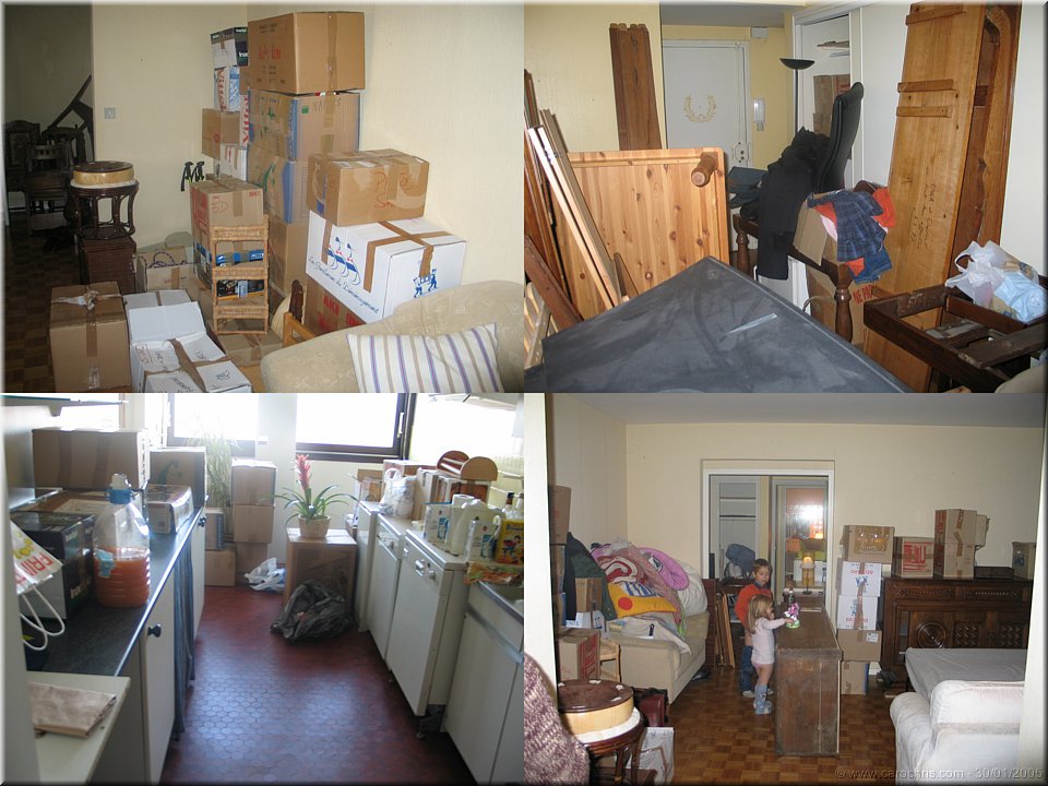 indigestion de cartons.jpg