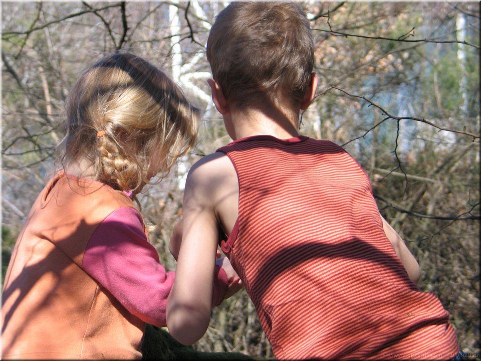 la petite bete qui monte.jpg