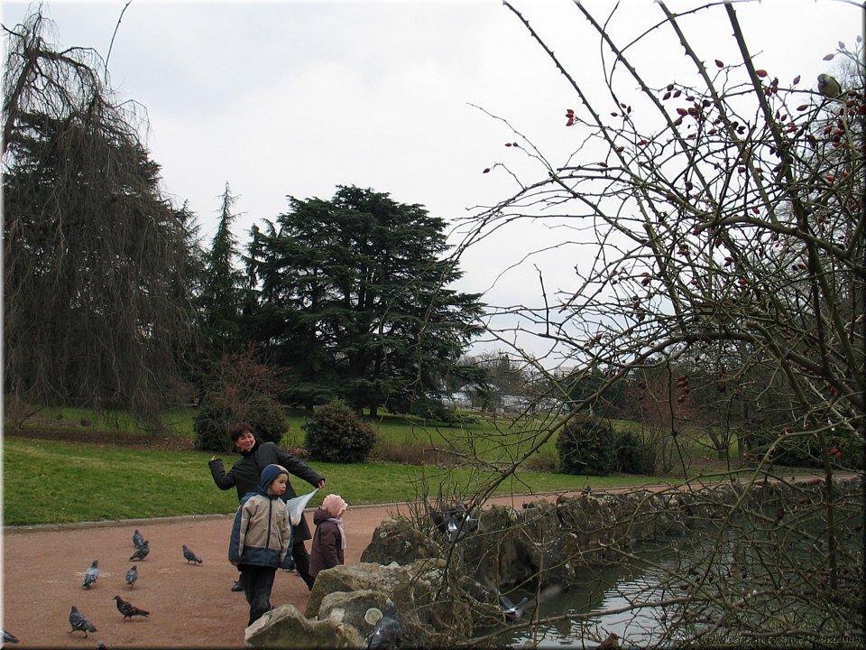 le pain des canards.jpg