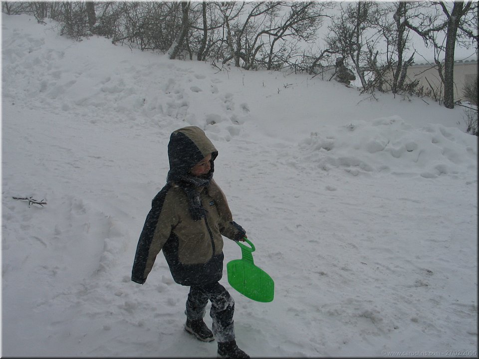 luge au sommet.jpg