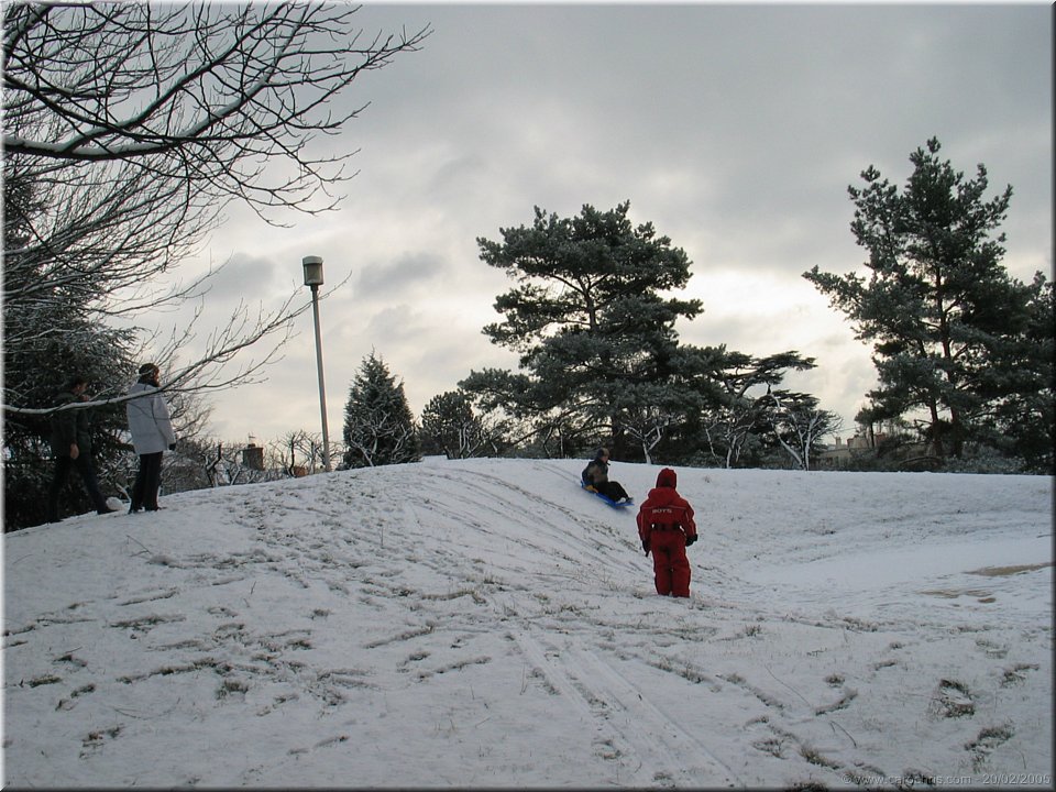 luge dans le jardin.jpg