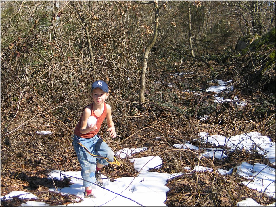 neige de printemps.jpg