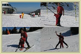 7laux capucine