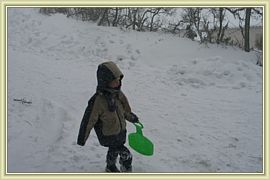 luge au sommet