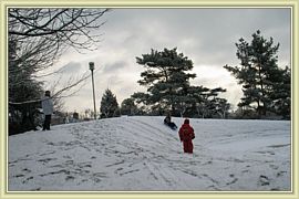 luge dans le jardin